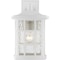 Quoizel Stonington Outdoor Wall Lantern SNN8409W - alternate 4